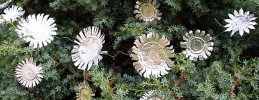 Weihnachtsbasteln, Weihnachtssterne aus Teelichtern basteln