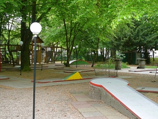 kreuzberg-brachvogel-2
