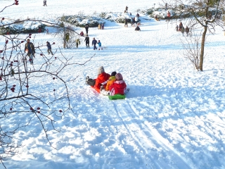 1_rodeln-mauerpark-2