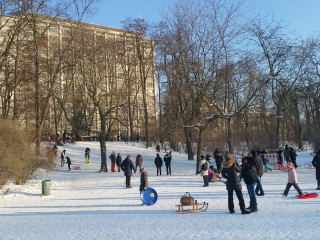 rodeln-preussenpark-IMG-20210210-WA0003