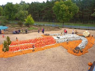 spargelhof-klaistow-herbst-9