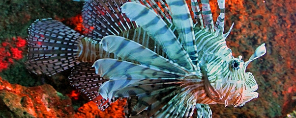 Sea Life Berlin